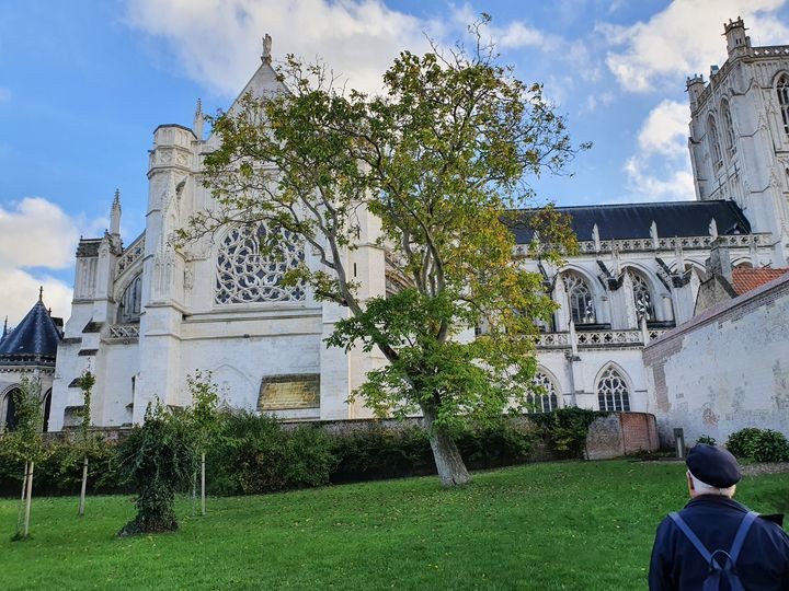 20221026 172137st omer et cathedrale 4 
