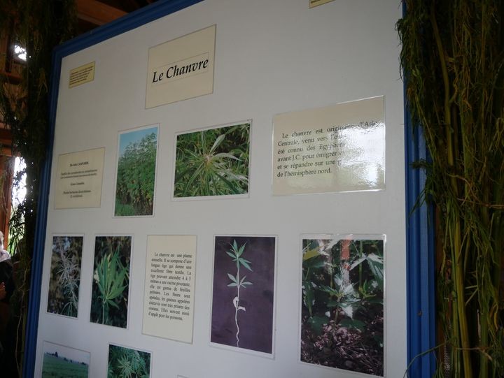 P1020054